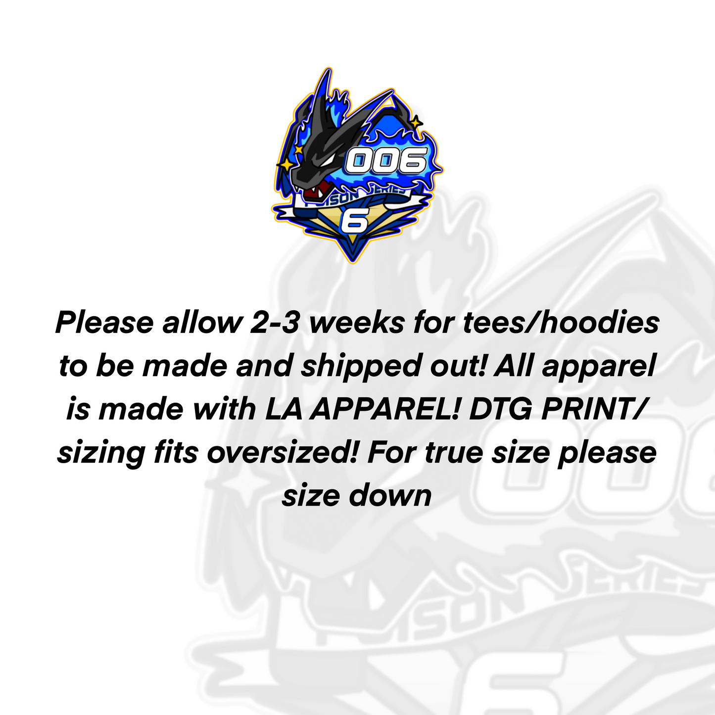 TRAINER V.6 HOODIES(PRE-ORDERS)