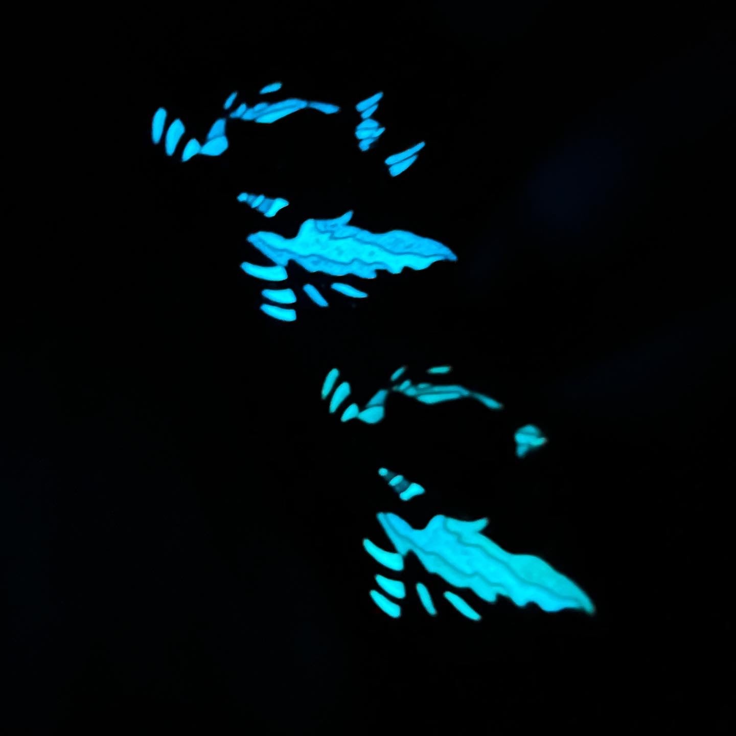 MEGA #006 Chomper  X